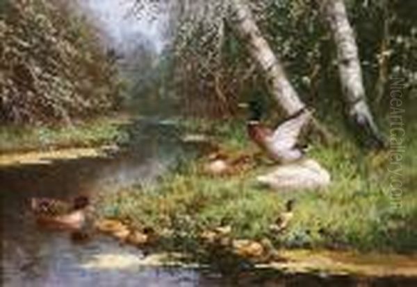 Enten Am Wasser Vor Waldhintergrund Oil Painting by David Adolf Constant Artz