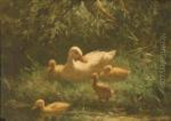 Ducks By The Waterside Oil Painting by David Adolf Constant Artz