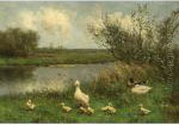 Duck With Ducklings Near The Waterside Oil Painting by David Adolf Constant Artz