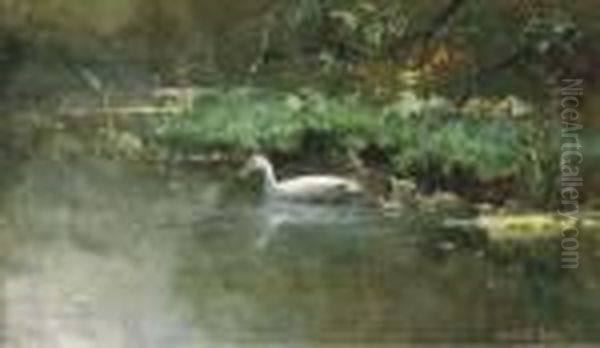 A First Swim Oil Painting by David Adolf Constant Artz