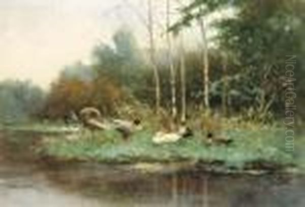 Ducks On A Riverbank Oil Painting by David Adolf Constant Artz