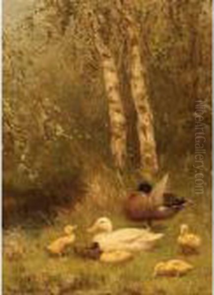 Duck With Ducklings On The Riverside Oil Painting by David Adolf Constant Artz