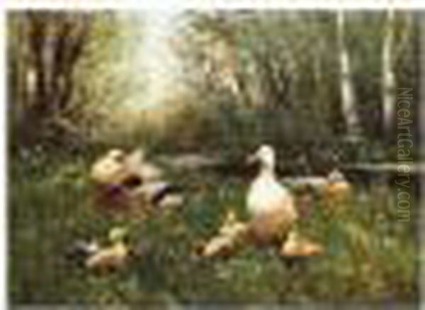 Ducks Oil Painting by David Adolf Constant Artz