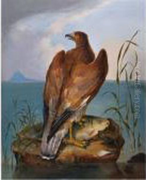 Bird Of Prey With Carp Oil Painting by John James Audubon