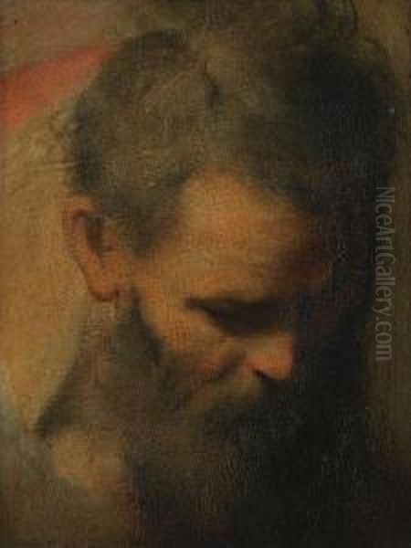 The Head Of A Bearded Man, A Sketch For Oil Painting by Federico Fiori Barocci