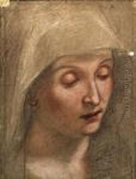 The Head Of The Virgin Oil Painting by Federico Fiori Barocci