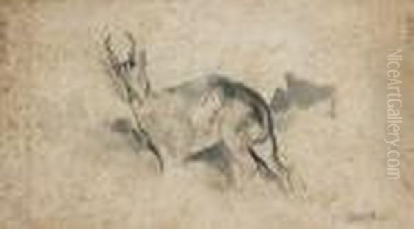 Etude De Kevel Oil Painting by Antoine-louis Barye