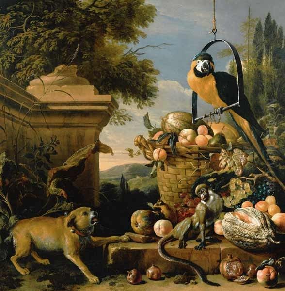 Macaw and a monkey Oil Painting by Melchior de Hondecoeter