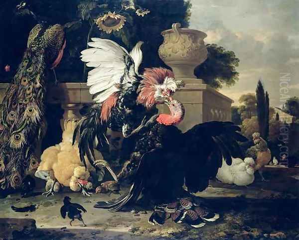 Fight between a Rooster and a Turkey Oil Painting by Melchior de Hondecoeter
