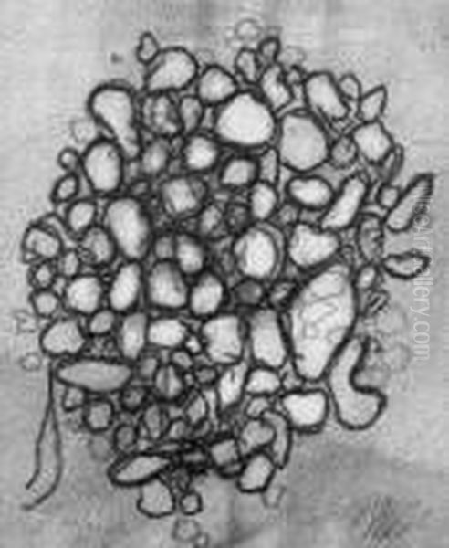 Steintraube (i) Oil Painting by Willi Baumeister