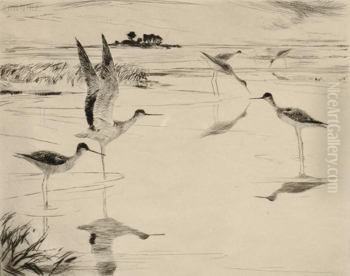 Yellowlegs No. 
2 Oil Painting by Frank Weston Benson