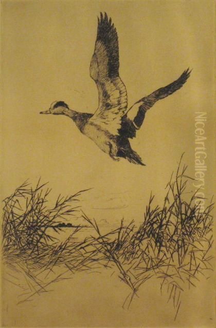 Wedgeon Rising Oil Painting by Frank Weston Benson