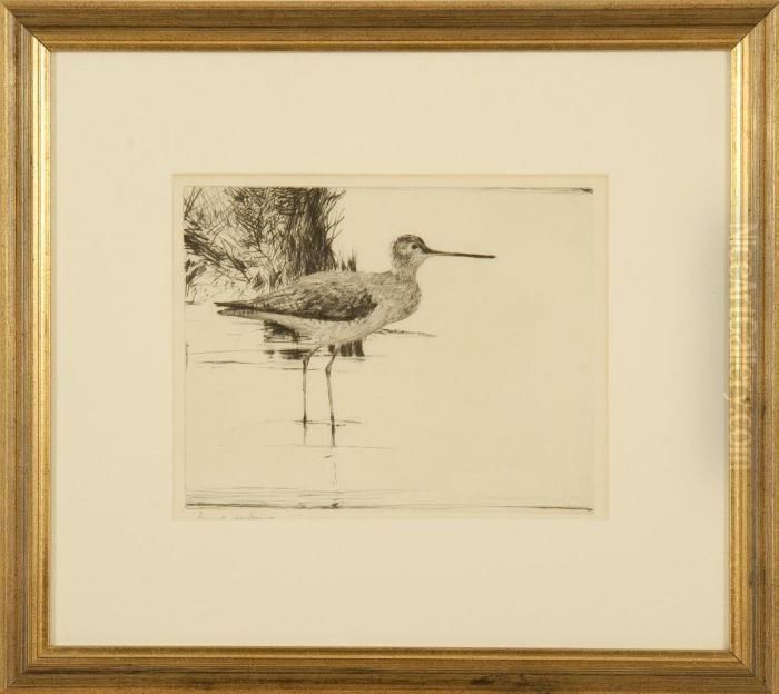 A Lone Yellowlegs Oil Painting by Frank Weston Benson