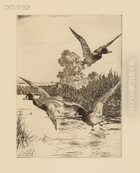 Startled Ducks Oil Painting by Frank Weston Benson