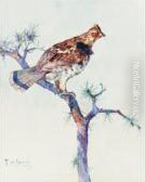 Grouse On A Pine Bough Oil Painting by Frank Weston Benson