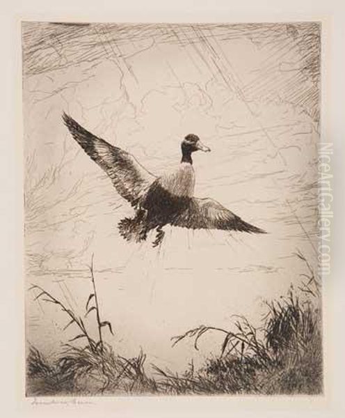 Shoveller Drake Oil Painting by Frank Weston Benson