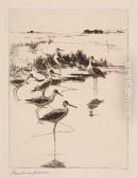 Yellowlegs No. 3 Oil Painting by Frank Weston Benson