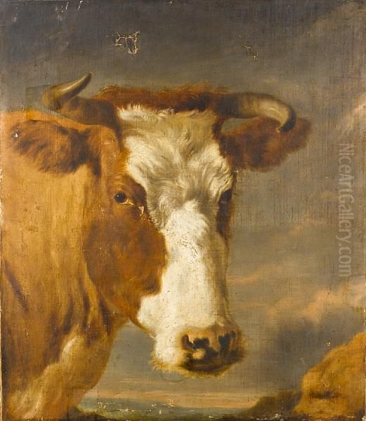 The Head Of A Bull 
Bears Signature 'berchem' Oil Painting by Nicolaes Berchem