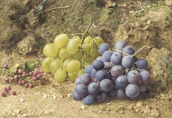 Still-life with white and black grapes and redcurrents Oil Painting by William Henry Hunt