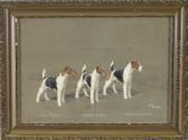 Drei Drahthaarfoxterrier - Ch. 
Epping Extreme, Ch. Crackley Sensation Und Ch. Barrington Bridegroom Oil Painting by Binks, R. Ward