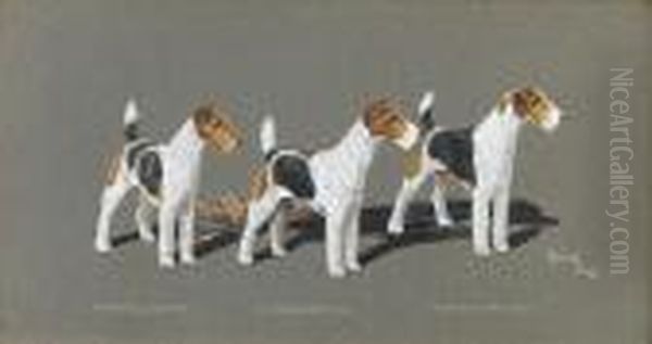 Champion Wire-haired Fox 
Terriers 