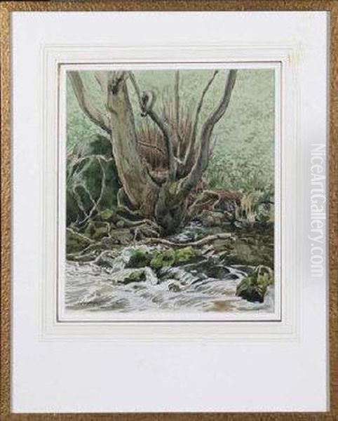Tree Roots By A Stream Oil Painting by Samuel John Lamorna Birch