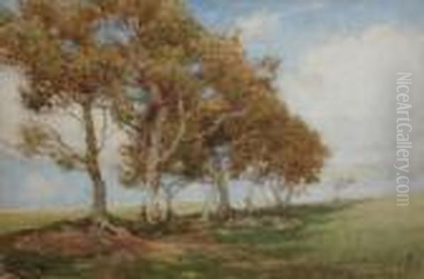 Sheep Resting. Oil Painting by Samuel John Lamorna Birch