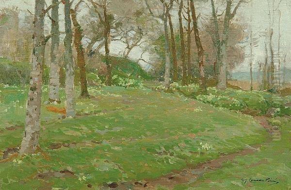 A Wooded Glade Oil Painting by Samuel John Lamorna Birch