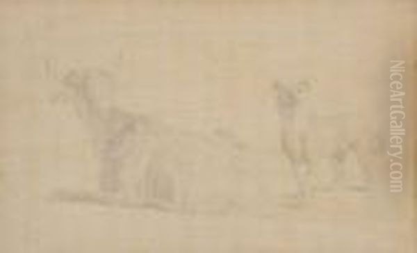 Etude De Chiens Oil Painting by Rosa Bonheur