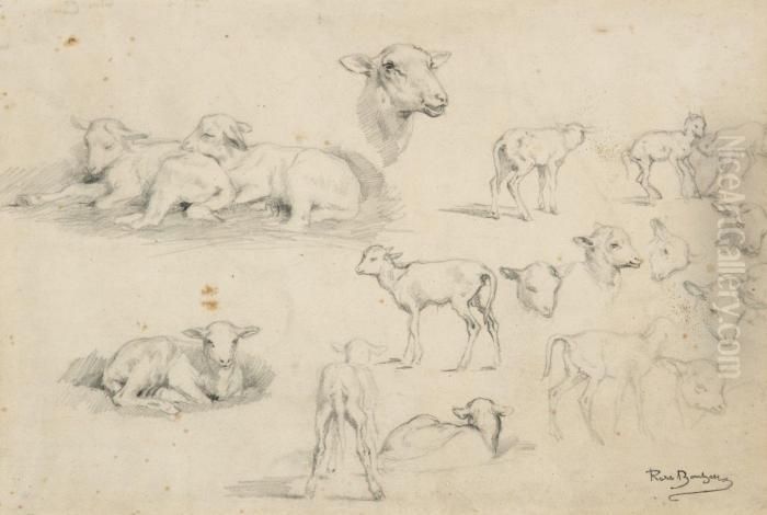 Feuille D'etudes D'agneaux Oil Painting by Rosa Bonheur