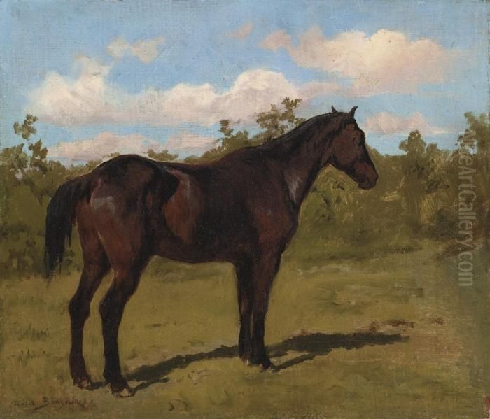 Etude De Cheval Oil Painting by Rosa Bonheur