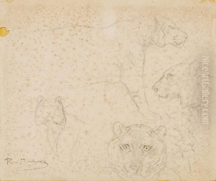 Lion Studies Oil Painting by Rosa Bonheur