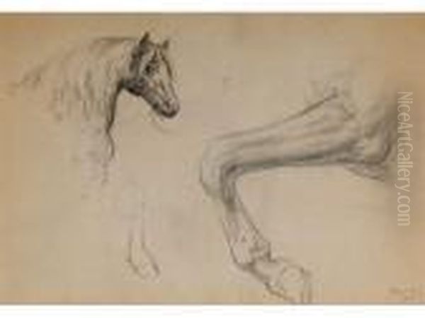 Etude De Cheval Oil Painting by Rosa Bonheur