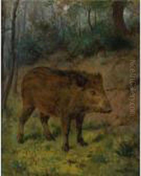 A Boar Oil Painting by Rosa Bonheur