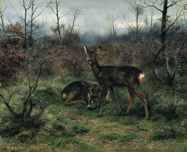 Young Deer In A Forest Clearing Oil Painting by Rosa Bonheur