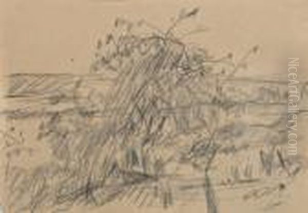 Paysage Oil Painting by Pierre Bonnard