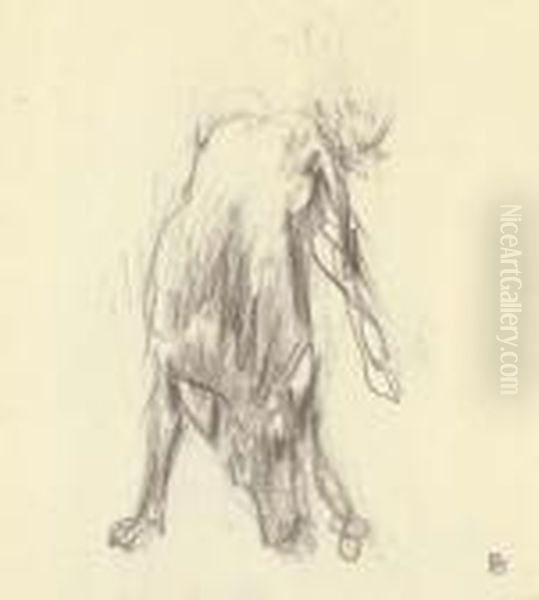 Etude Pour 'dingo' Oil Painting by Pierre Bonnard