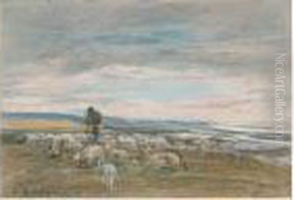 Berger Et Ses Moutons Au Paturage Sur La Cot Normande , Circa 1862-1866 Oil Painting by Eugene Boudin