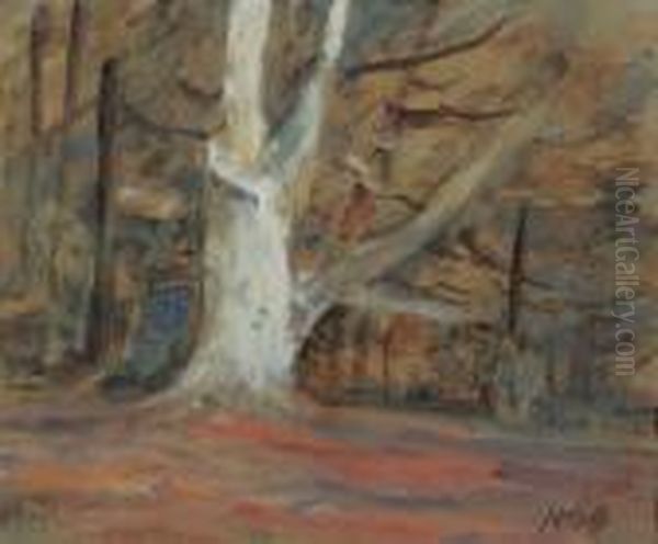 An Old Beech Tree In The Woods At Knole, Kent Oil Painting by Hercules Brabazon Brabazon