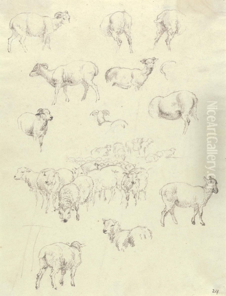 Flock of Sheep Oil Painting by Robert Hills