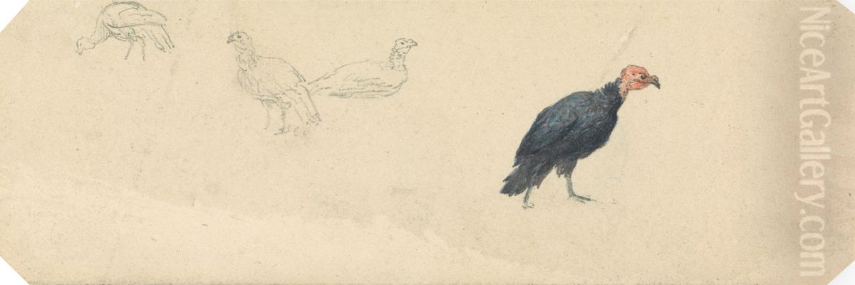 Studies of a Turkey Oil Painting by Robert Hills