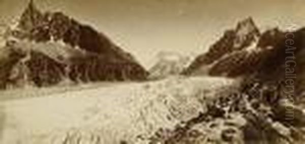 Albumen Prints Oil Painting by Adolphe Braun