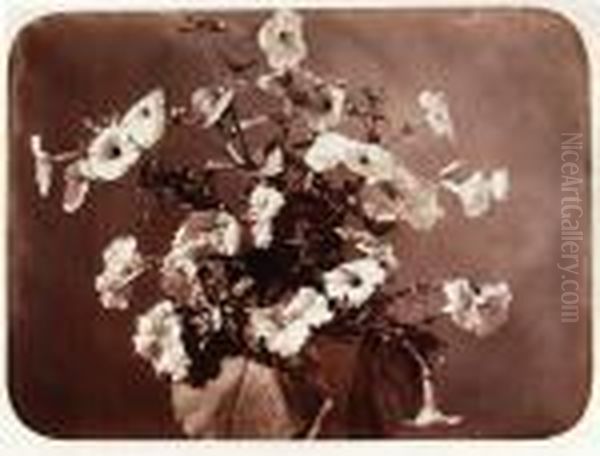 Untitled (flower Study), C.1858 Oil Painting by Adolphe Braun