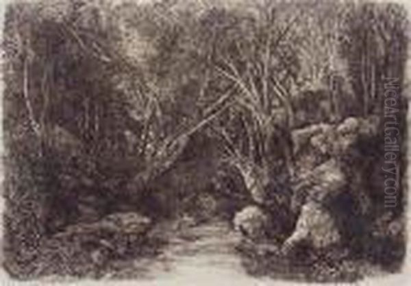 Ruisseau Sous-bois Oil Painting by Rodolphe Bresdin