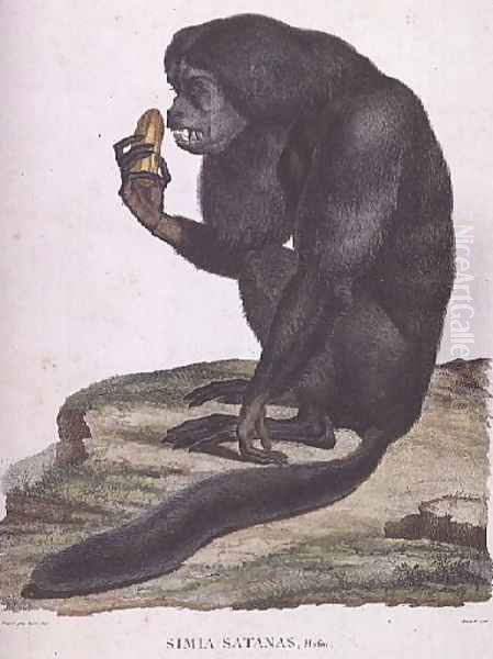 Simia Satanas Oil Painting by Humboldt, Friedrich Alexander, Baron von