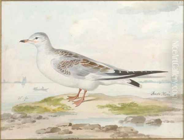 A seagull Oil Painting by Pieter the Younger Holsteyn
