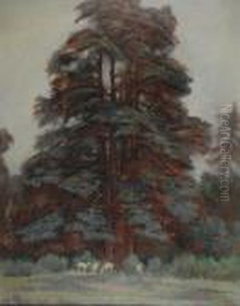 Cedro Del Libano E Daini Albini Oil Painting by Anselmo Bucci