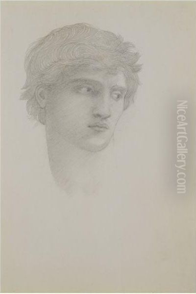 Study For Head Of Perseus In The Rock Of Doom Oil Painting by Sir Edward Coley Burne-Jones