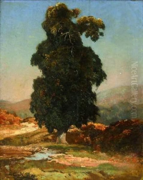 Le Grand Arbre Oil Painting by Louis Alexandre Cabie