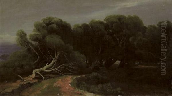 Pins Le Long D'un Chemin Au Bord De Mer, 1853-60 Oil Painting by Alexandre Calame